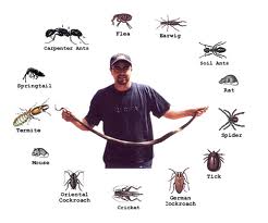 pest control