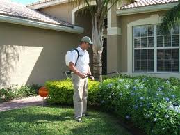 pest control