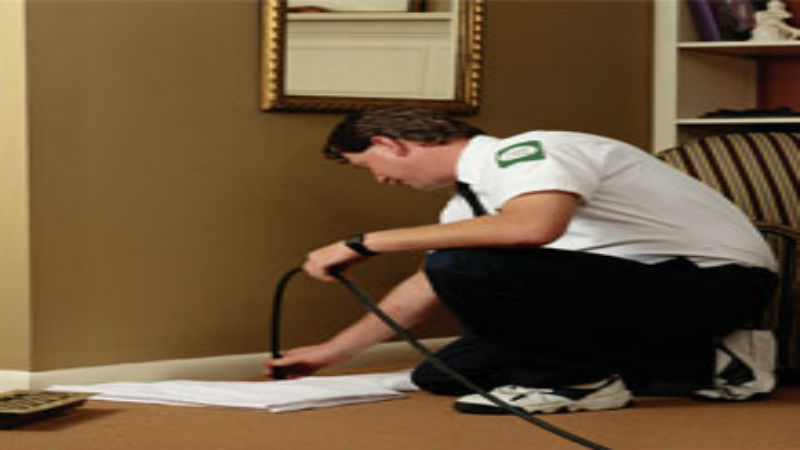 Choosing Regular Pest Control in Plymouth, MA Can Keep the Pests Away Forever