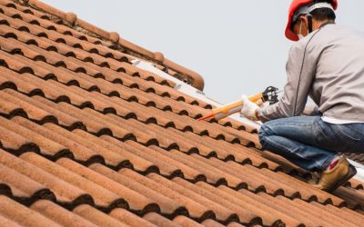 Common Signs Your Business Needs Commercial Roof Repair in Kansas City, KS: Property Owners Trust